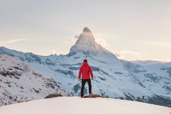 male alpha psychologie